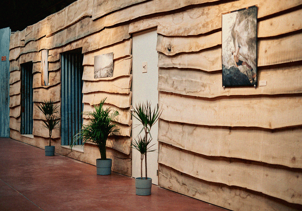 Bardage en bois de la forêt de soigne pour l'aménagement de la salle.